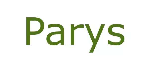 Producent Parys