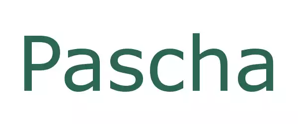 Producent Pascha