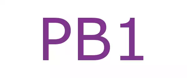 Producent PB1