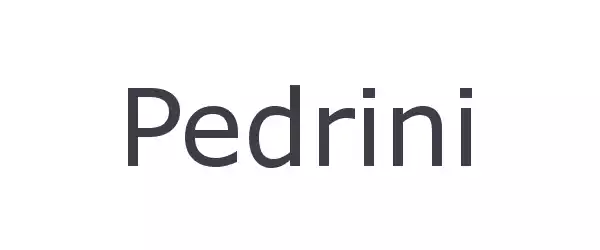 Producent Pedrini