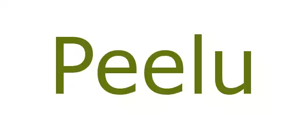 Producent Peelu