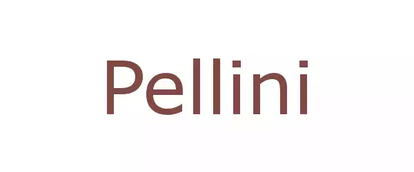 Producent Pellini