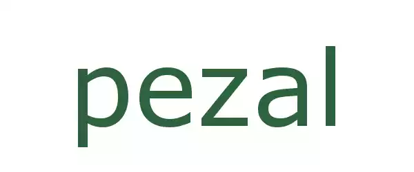Producent PEZAL