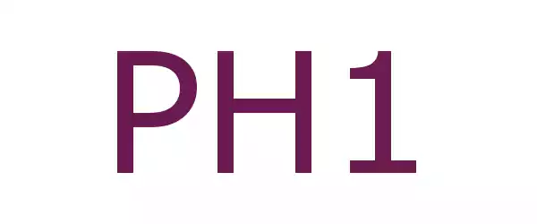 Producent PH1