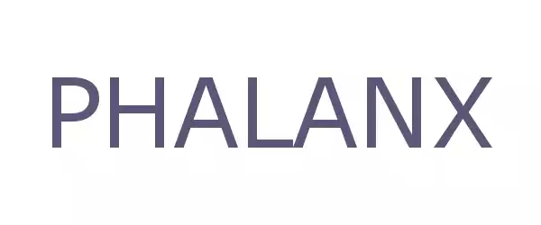 Producent PHALANX