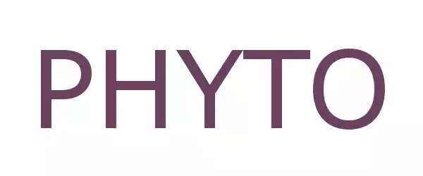 Producent PHYTO