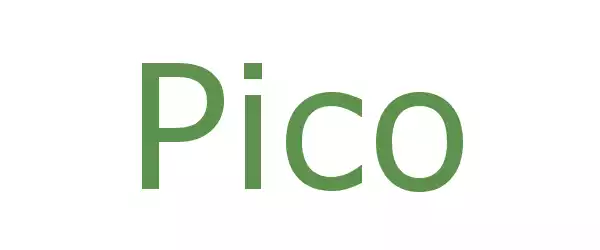 Producent Pico