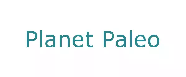 Producent Planet Paleo
