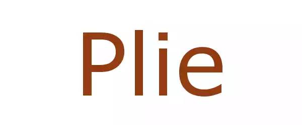 Producent Plie