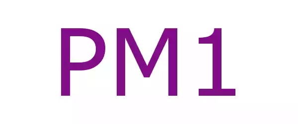 Producent PM1