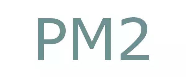 Producent PM2