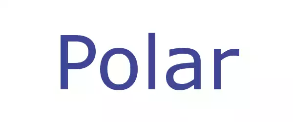 Producent POLAR