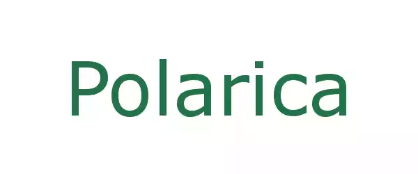 Producent Polarica