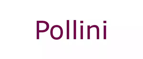 Producent Pollini