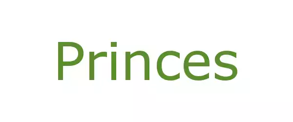 Producent Princes