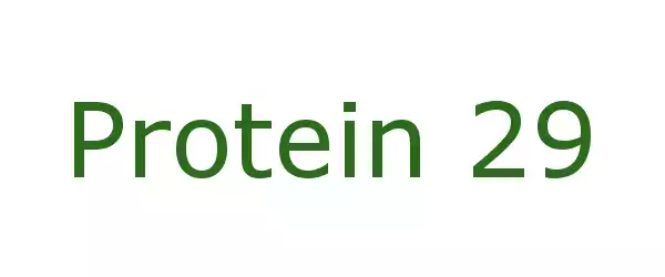 Producent Protein 29