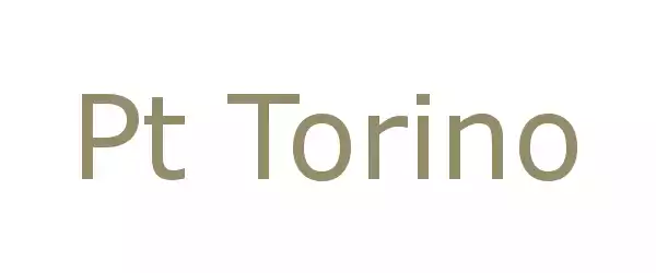 Producent Pt Torino