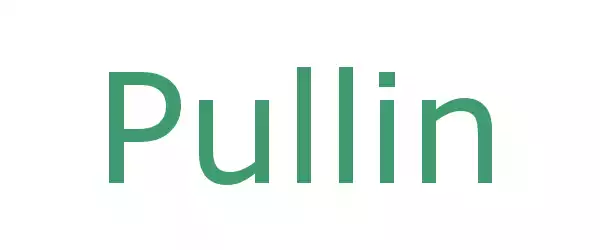 Producent Pullin