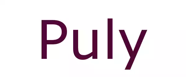 Producent Puly