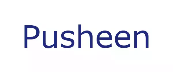 Producent Pusheen