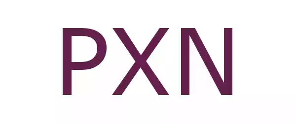 Producent PXN