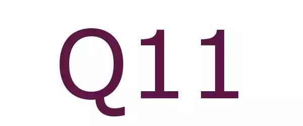 Producent Q11