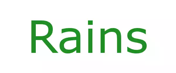 Producent Rains