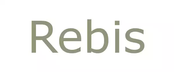 Producent Rebis