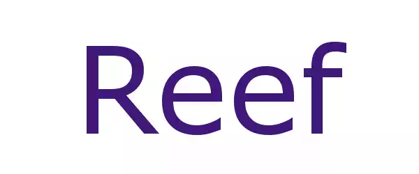 Producent Reef