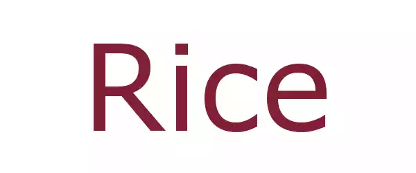Producent Rice