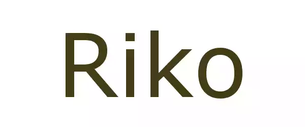 Producent Riko