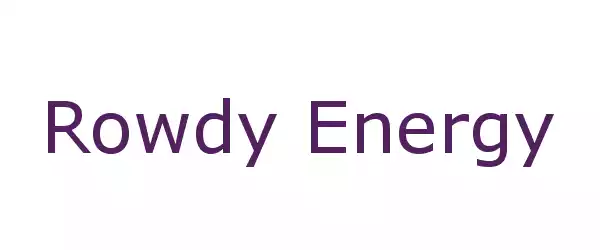 Producent Rowdy Energy
