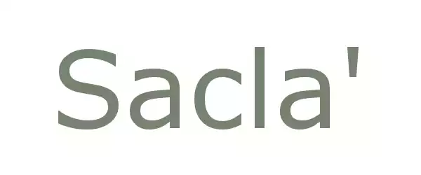 Producent SACLA