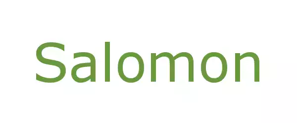 Producent Salomon