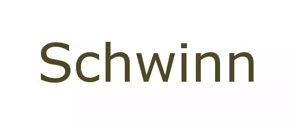 Producent Schwinn