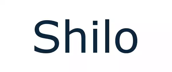 Producent Shilo