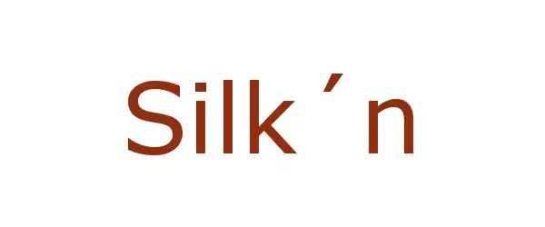 Producent SILK'N