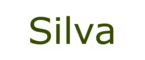 Producent SILVA