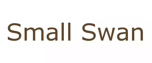 Producent Small Swan
