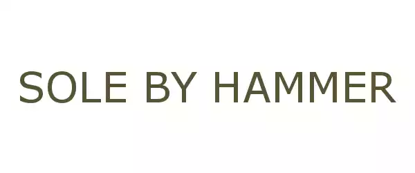 Producent SOLE BY HAMMER