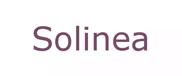 Producent Solinea