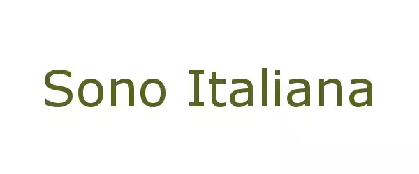 Producent Sono Italiana