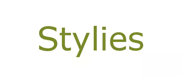 Producent STYLIES