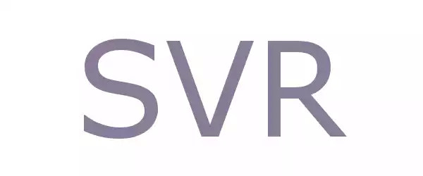 Producent SVR