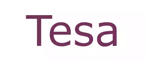 Producent TESA