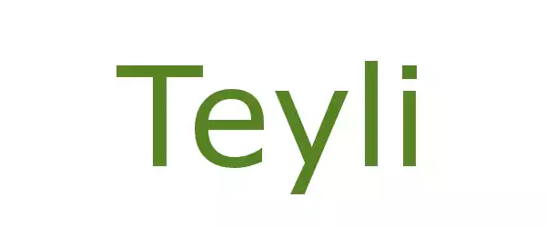 Producent Teyli