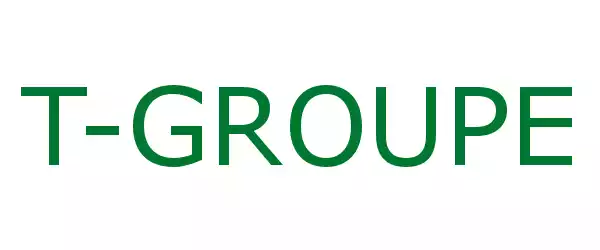 Producent T-GROUPE