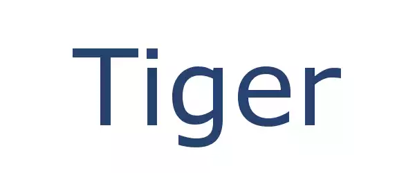 Producent TIGER