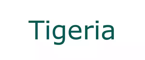 Producent Tigeria
