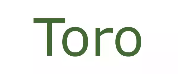 Producent Toro